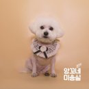 앙꼬네 미용실 이미지