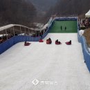 좌구산 휴양랜드 썰매장 이미지