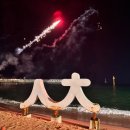 불꽃마차 | 강원도 속초 1박2일 여행코스 속초해수욕장 대관람차 웨일라잇 카페 포장마차거리