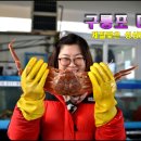 [포항 구룡포]전국 대게 최대 생산량인 구룡포항과 구룡포 대게 즐기기 이미지