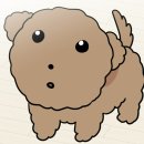 폰마루