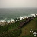 로하스영덕사업소