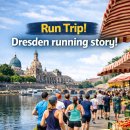 엘베강독일 | 런트립 드레스덴 엘베강 러닝 _ 비어가든, 주말 마켓 후기