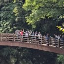 전북 장수군 장안산 덕산계곡 이미지