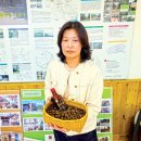 동백고장보전연구회