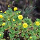 남쪽마을 이미지