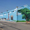 청하시장 이미지