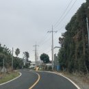 제주축산농협 축산물공판장 이미지