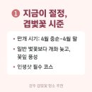 (주)진평 이미지