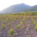 재희농장 이미지