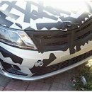 프라이드 이미지