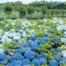 만남목장 이미지