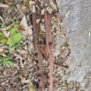 민등농장 이미지