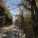 맛있소 | 수원 호매실 청춘면가 맛있소 맛있닭