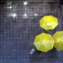 글사랑방 이미지