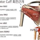 서울바른척도병원 이미지