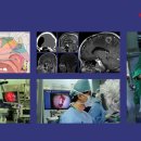 네오폰스 주식회사 이미지