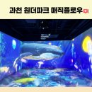 과천 서울대공원 원더파크 매직플로우 주차/편의점/가격 소개!