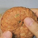 콩순이네 | 콩순이네 두부 우거지 청국장 솔직 후기, 이거 하나면 밥 한 그릇 뚝딱!