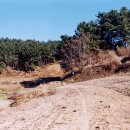 범방동 패총 이미지