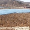 김천시봉산면태화보건진료소 | 김천봉산면 태화리 토지