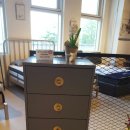 벨라 코리아 이미지