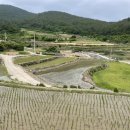청산도 상서마을 옛 담장 | 청산도 상서마을