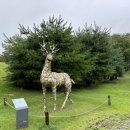 임진각 관광안내소 이미지