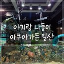가재 | [일산] 아쿠아가든 일산 물고기 카페 후기 (가재, 아기랑 나들이)