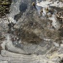 진동산막 이미지