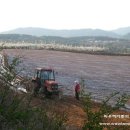 일등농장 이미지