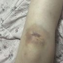 체험형 이머시브 연극! 군체 인사이드 더 플레이 후기 (스포 주의)