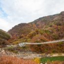 별빛강가펜션 이미지