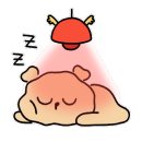 모모라멘 이미지