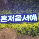 주안집 이미지