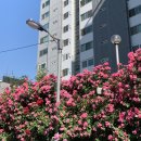 GS25 연남공원 이미지