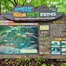 태백고원 700 산소길 | 강원도 여행 승우여행사 강원 샷건 챌린지 태백 고원 700 산소길 트레킹 하이킹