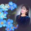 그대 돌아오라/시.곡 김성만/소프라노 신승아 이미지