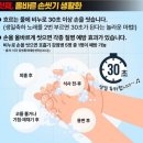 내원어린이집 이미지