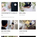 찐가 | 본식 DVD 찐가성비 윌리진 필름 계약후기 짝꿍 할인 코드 O