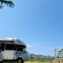 정감 행정사 이미지