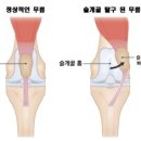 비타동물의료센터 이미지