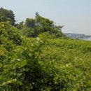 설천면055 이미지