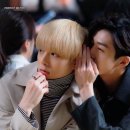 투투 이미지