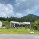 지니비치향 이미지