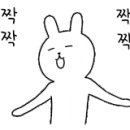 지오티에스 이미지