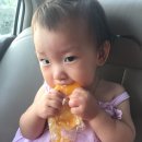 세주농장 이미지