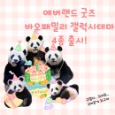에버랜드디지털굿즈 바오패밀리 갤럭시테마 적용 후기