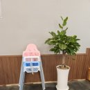 아산배방점 | 유씨네본가누룽지삼계탕 아산배방점 후기