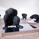 나를 본다 이미지